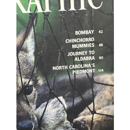 National Geographic Magazine March 1995 Dead or Alive Vintage Collectable b