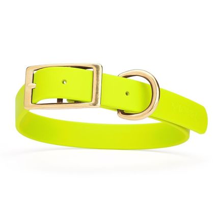 Dog Pet Collar with Brass Hardware Size L W 1” L 18” - 22” Safety Yellow
