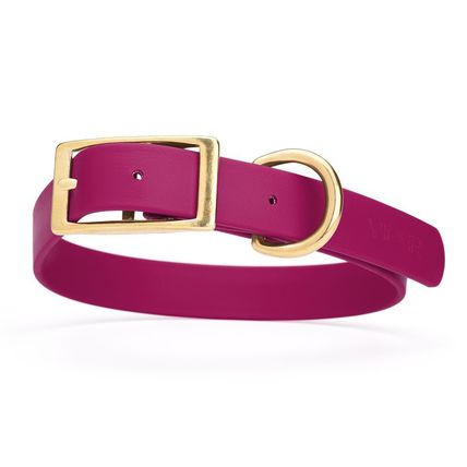 Dog Pet Collar with Brass Hardware Size L W 1” L 18” - 22” Magenta Pink