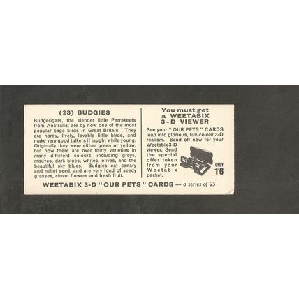 Weetabix 3D Cards 1961 Our Pets #23 Budgies