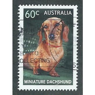 AUS 2013 60c 'TOP DOGS - DACHSHUND' FINE USED (EBID38-323)