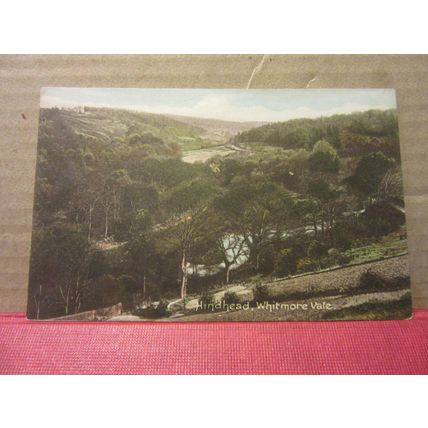 WHITMORE VALE, HINDHEAD, SURREY unused antique postcard by F. Frith =