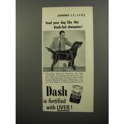 1953 Armour Dash Dog Food Ad - Labrador Retriever Dalwood Shadow