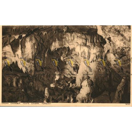 Organ Chamber, Kent's Cavern, Torquay, Devon, Photochrom Postcard