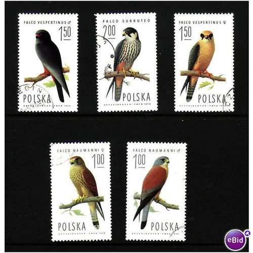 POLAND 1975 BIRDS OF PREY SG 2341/2345 5 VALS FINE USED
