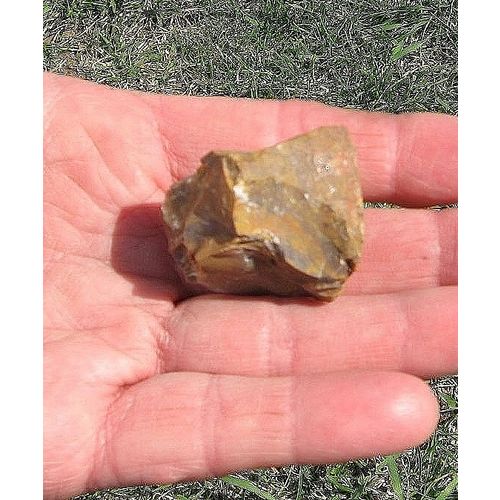 B Petrified Wood Raw Stone 1/5 Inch Metaphysical Meditation Energy Work