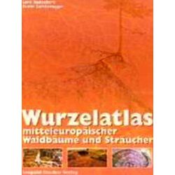 Wurzelatlas Mitteleuropaischer Waldbaume Und Straucher