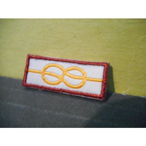 Boy Scouts Merit Badge (1.25 by .5 inches)