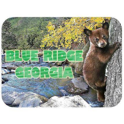 Blue Ridge Georgia with Bear Cub Fridge Magnet