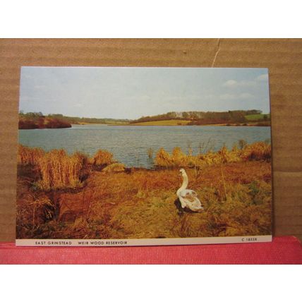 WEIR WOOD RESERVOIR, EAST GRINSTEAD, SUSSEX unused postcard by Judges =