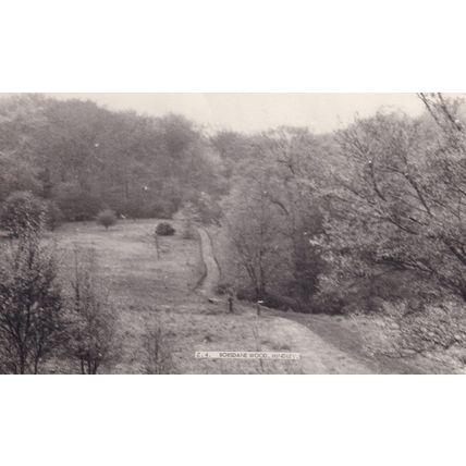 Borsdane Wood Hindsley Wigan Lancs Real Photo 1960s Postcard