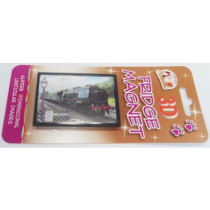 STEAM TRAIN fridge magnets 3D or Antique brass effect 8 choices