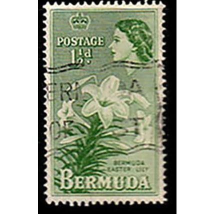Bermuda 1953 Queen Elizabeth II 1 1/2d Used Stamp QE II Flower