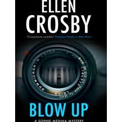 A Sophie Medina Mystery Blow Up