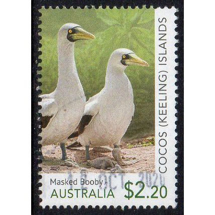 Cocos (Keeling) Islands 2020 Booby Birds - Masked Booby $2.20 Used