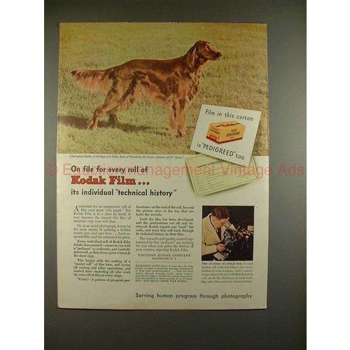 1945 Kodak Film Ad w/ Irish Setter - Rufus of Hollywood