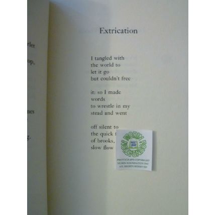 WORLDLY HOPES POEMS by A.R. AMMONS poetry chapbook