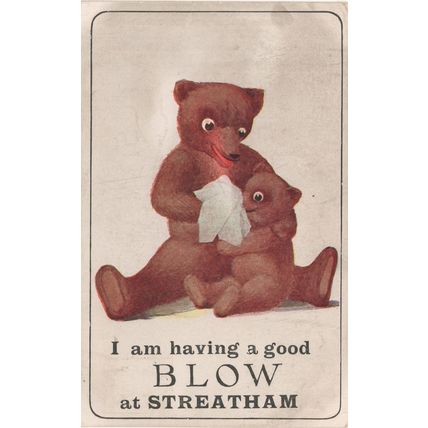Teddy Bear Cold at Streatham South London Antique Rare Postcard