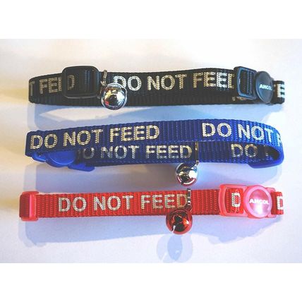 DO NOT FEED REFLECTIVE BLUE ANCOL SAFETY RELEASE CLIP CAT COLLAR AND BELL