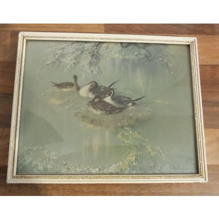 1950 Vintage Framed Print VERNON WARD Pintail Ducks