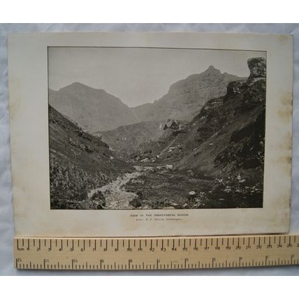 Vintage illustration: View in the Drakensberg Region