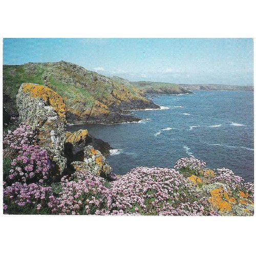 Skomer, Pembrokeshire - springtime - postcard c.1980s