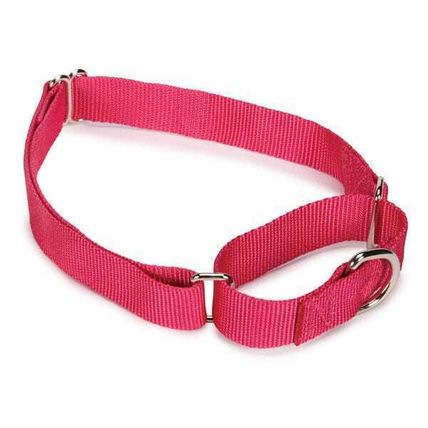 Guardian Gear Nylon Martingale Dog Collars 14-20 in Raspberry