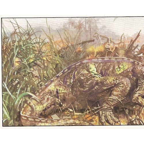 Panini's Dinosaurs Sticker Collection - Sticker No. 57