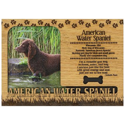 American Water Spaniel Engraved Wood Picture Frame Magnet