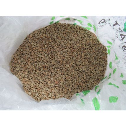 5 LB Green Unroasted Coffee Beans Costa Rica Fuego Anaerobic SHB EP Fcy MICROLOT