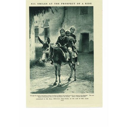 Donkeys Rides, Egyptian Style, Book Illustration, c1925