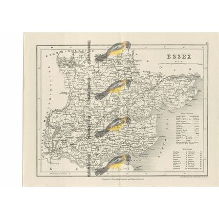 Essex, Map, Specially Engraved Book Illustration (Print), 1850