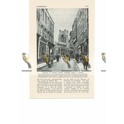 Market Street & Great St Mary's, Cambridge, England, Book Illustration, c1920
