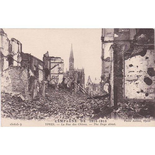 Dogs Street After The Bombardment Ypres War Damage Postcard (WD117)
