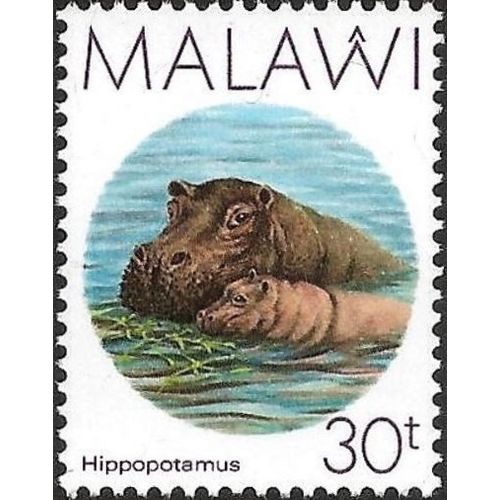 Malawi 1987 Hippopotamus 30t Female Calf Unmounted Mint NHM SG 773 Sc 504 stamp