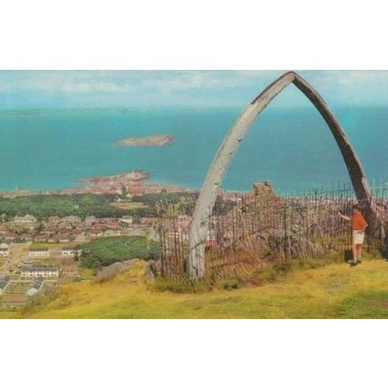 North Berwick From The Whales Jaw 1970s Postcard