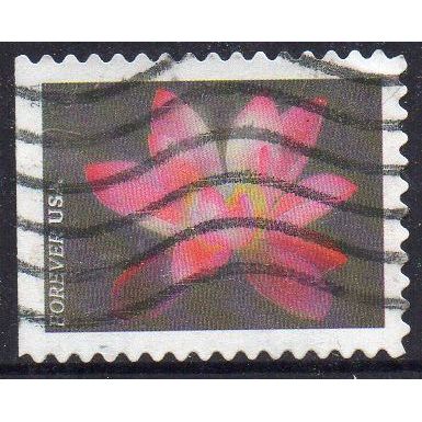 USA 2021 Garden Flowers - Pink Sacred Lotus Forever Used