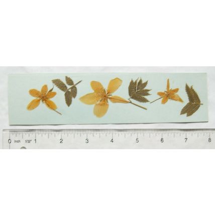 Vintage homemade bookmark - dried leaves & flowers
