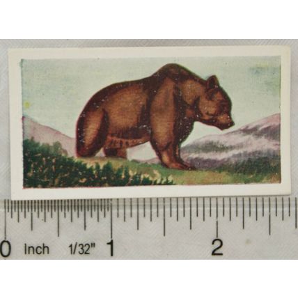 Neilson's Interesting Animals card No. 1 Brown Bear