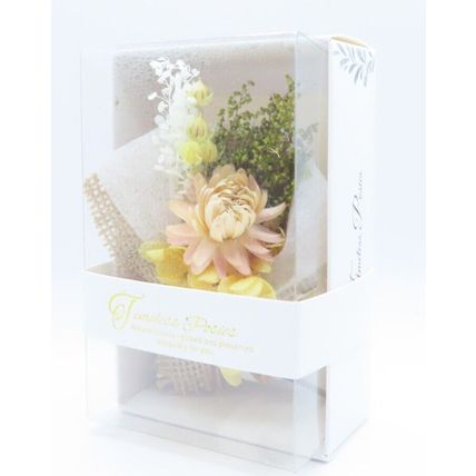 Timeless Posies Small Preserved Flowers 10 CM Boxed Gift Home Decor Red Rose