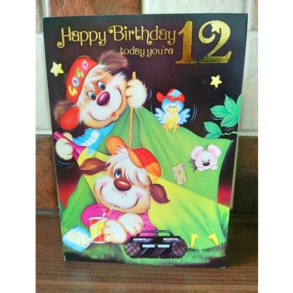 Age 12 Birthday Card - ( CHEAP COLLECTION ONLY CARDS )