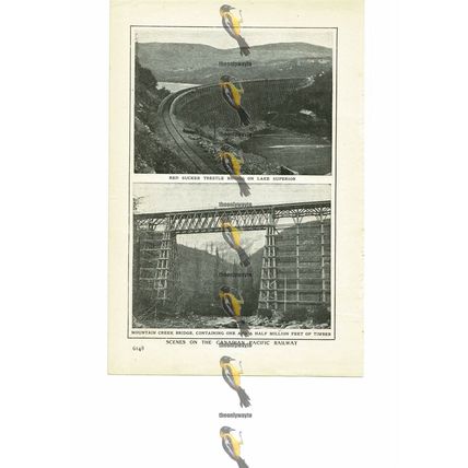 Canadian Pacific Railway (2 Scenes), Canada, Book Illustration (Print), 1909