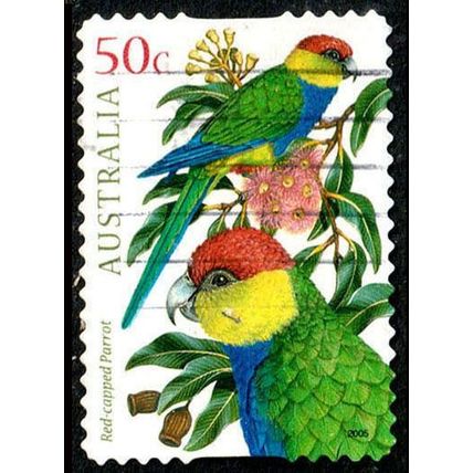 Australia 2005 Australian Birds 50c Used P&S Stamp #5 Red-Capped Parrot