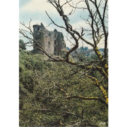 Ruines de Chateau Branzac France Postcard posted 1972 creased