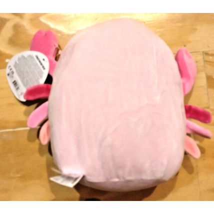 Squishmallows Cailey The Pink Crab 8" Jazwares Plushie Rare Size NEW!
