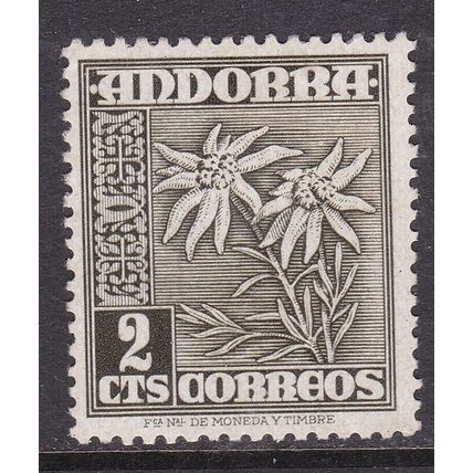 Andorra Spain 1951 Edelweiss 2c Mint Never Hung SG 41 VGC