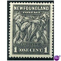 Newfoundland 1936 SG222 1c Grey Fine Mounted Mint