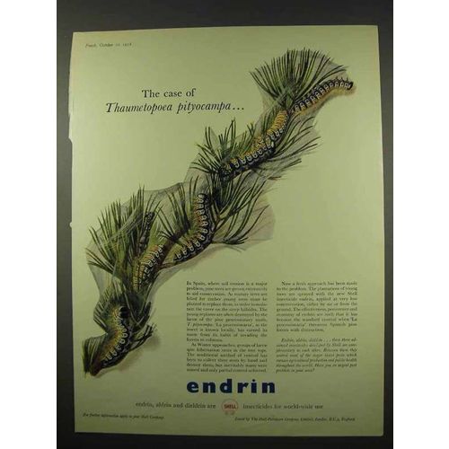 1956 Shell Endrin Ad - Case of Thaumetopoea Pityocampa