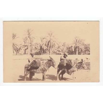 Two Men on Mules or Donkeys Likely Middle East Postcard ME138