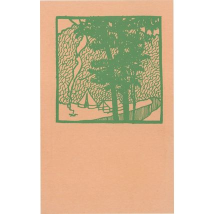 Camp Fire Burning at Tent Boy Scouts Girl Guides Old Greetings Postcard